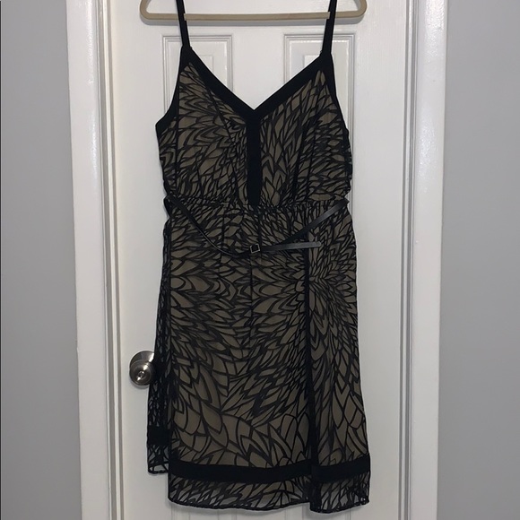 Lane Bryant Dresses & Skirts - Lane Bryant black tan tulle belted dress 18/20